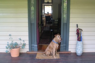 Beechworth Accommodation Indigo Cottage, Beechworth