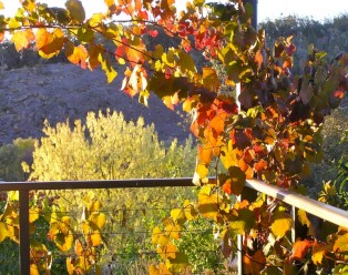 Beechworth Accommodation Indigo Cottage, Beechworth