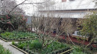 Beechworth Accommodation Indigo Cottage, Beechworth