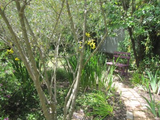 Beechworth Accommodation Indigo Cottage, Beechworth