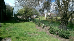 Beechworth Accommodation Indigo Cottage, Beechworth